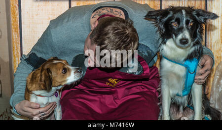 Birmingham, UK. 8Th Mar, 2018.Le professeur Green faisant un photocall sur le Benyfit à ce peuplement naturel ans Crufts Dog Show à NEC Birmingham. Crédit : charlie bryan/Alamy Live News Banque D'Images