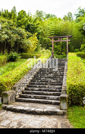 Un grand escalier de pierre qui monte à un torii japonais en bois entourée de végétation tropicale avec le bambou. Banque D'Images