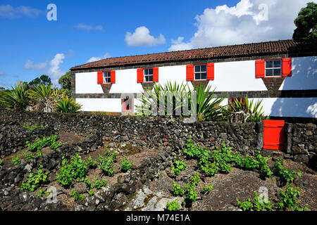 Museu do Vinho (Musée du vin). Madalena, Pico. Açores, Portugal Banque D'Images