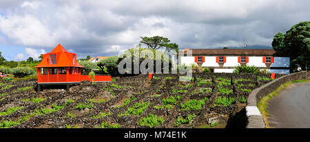 Museu do Vinho (Musée du vin). Madalena, Pico. Açores, Portugal Banque D'Images