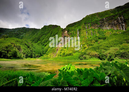 Poço da Alagoinha avec cascades, l'île de Flores. Açores, Portugal Banque D'Images