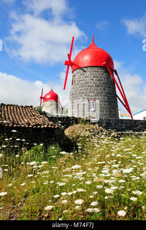 Moulins à vent traditionnels à São Mateus (Praia), île de Graciosa. Açores. Portugal Banque D'Images