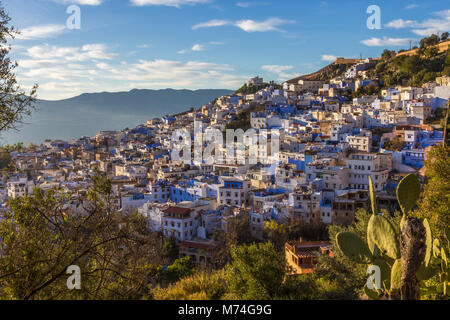 Vue de la mosquée espagnole au coucher du soleil sur les toits de la ville bleue de Chefchaouen dans les montagnes du Rif, au Maroc. Banque D'Images