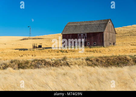 Grange et moulin à vent abandonné sur une exploitation de blé dans la région de Eastern Washington Palouse Banque D'Images