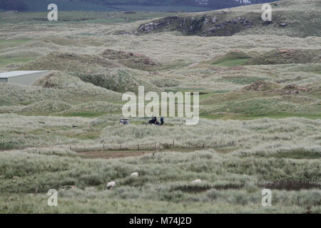 Golf Ballyliffin Ballyliffin, Inishowen,, comté de Donegal, Irlande.- un parcours de championnat. Banque D'Images