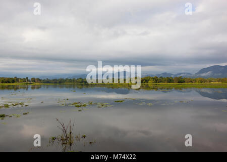 Une sri-lankaise mirror lake avec bois et montagnes dans la brume et les nuages bas sur une chaude journée au parc national de wasgamuwa Banque D'Images