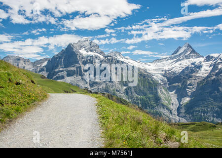Voyage de randonnée à Gindelwald offre une vue vraiment incroyable de Bachalp sur les Alpes Suisses Banque D'Images