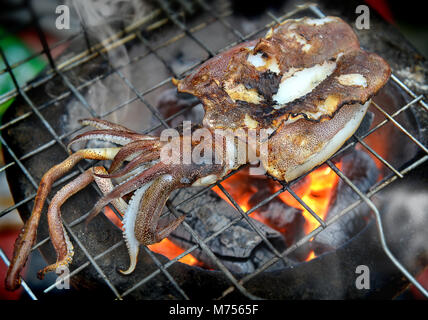 Les frais de marché seiches pêche en Thaïlande grill sur le feu de charbon dans l'air extérieur éclairage photo nuageux. Banque D'Images