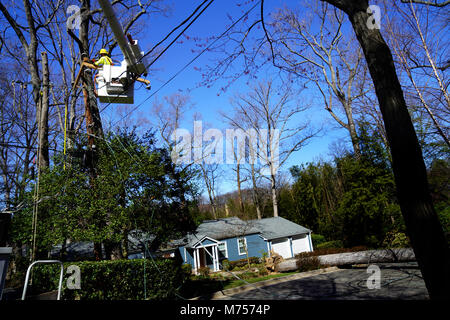 Puissance électrique équipe travaille à rétablir l'alimentation après une intense tempête de vent. Photo par Dennis Brack Banque D'Images