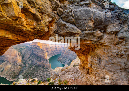 Le mouflon d'encadrement Arch Canyon National Recreation Area, Montana, Lac Bighorn, monts Bighorn Banque D'Images