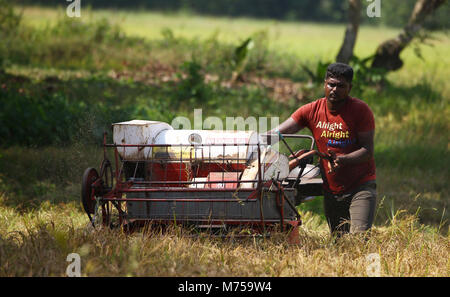 Kaduwela, Sri Lanka. Feb 22, 2018. Une moissonneuse-batteuse sur les champs de riz, au cours de saison de récolte, à Colombo, Sri Lanka, 22 février 2018 Crédit : Pradeep Dambarage/Pacific Press/Alamy Live News Banque D'Images