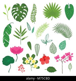 Ensemble de plantes tropicales stylisé, feuilles et fleurs Illustration de Vecteur