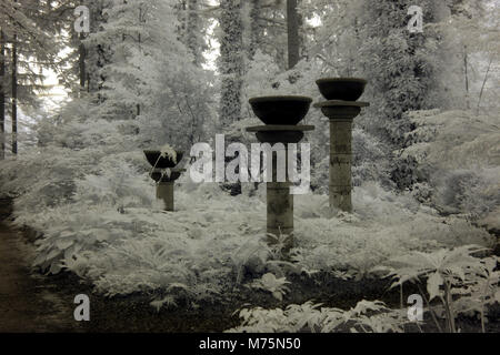 Image infrarouge de colonnes dans un jardin entouré d'arbres et d'arbustes Banque D'Images