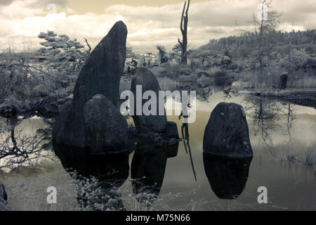 Image infrarouge de reflets d'arbres et de roches dans un étang Banque D'Images