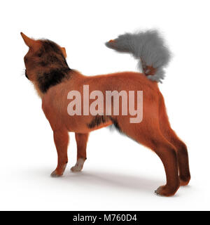 Chihuahua adultes sur fond blanc. 3D illustration Banque D'Images