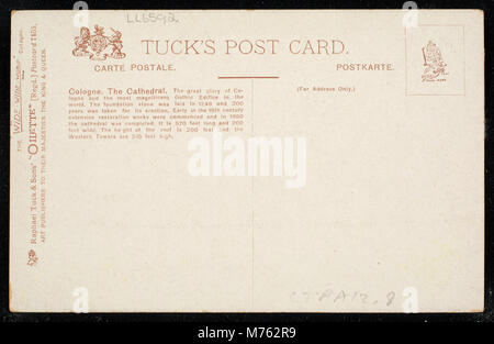 Une photographie de la cathédrale de Cologne (Kölner Dom), prise du côté sud, mettant en évidence la grandeur architecturale de cette structure gothique. L'image fait partie d'une plus grande collection d'architecture historique. Banque D'Images