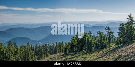 Après Ridge Ridge de la chaîne des Cascades, l'extension de l'éternité. La vue de Mt Hood est souvent au-dessus des nuages mais sur cette journée claire le point de vue de la montagnes Cascades est étonnant Banque D'Images