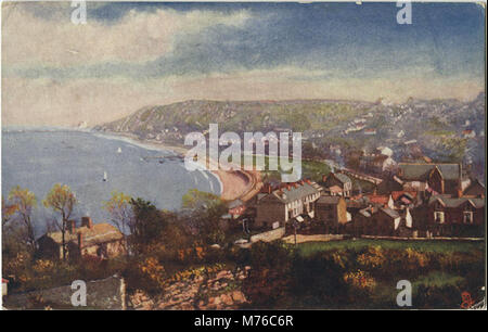 Cette photographie capture une vue panoramique de Mumbles, un village près de Swansea, connu pour sa beauté naturelle et son importance historique au pays de Galles. Banque D'Images