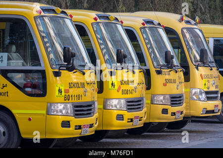 Abu Dhabi, UAE Yellow School Bus garé sous les arbres Banque D'Images