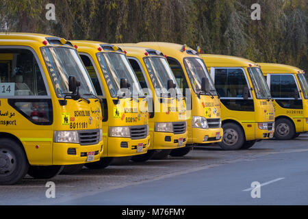 Abu Dhabi, UAE Yellow School Bus garé sous les arbres Banque D'Images