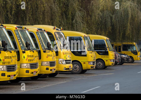 Abu Dhabi, UAE Yellow School Bus garé sous les arbres Banque D'Images