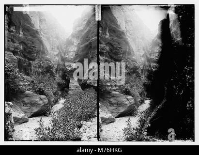 L'entrée de Petra, une ancienne ville archéologique de Jordanie, connue pour son architecture taillée dans la roche et son système de conduites d'eau. Ce site est un site classé au patrimoine mondial de l'UNESCO, réputé pour ses façades étonnantes et son importance historique. Banque D'Images