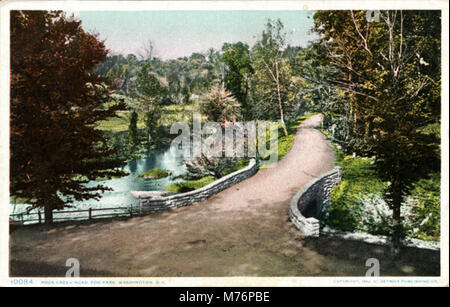 Rock Creek Road, Parc du Zoo (NEN 3419) Banque D'Images