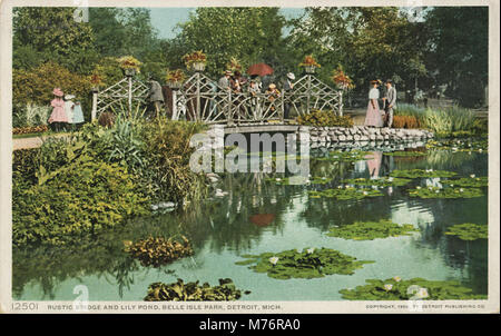 Une vue sereine sur un pont rustique et un étang de nénuphars situé dans le parc belle Isle, capturant la beauté naturelle et le cadre tranquille du parc. Banque D'Images