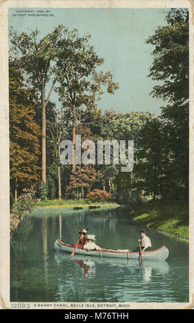 Une vue panoramique sur un canal ombragé situé à belle Isle, mettant en valeur les eaux tranquilles et les environs luxuriants de cette zone naturelle aux États-Unis. Banque D'Images