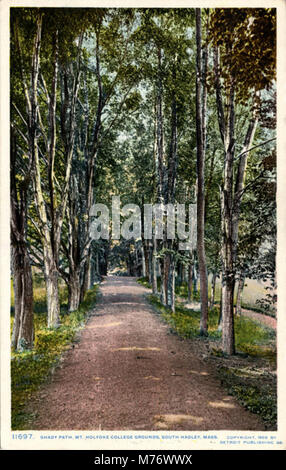 Une vue tranquille sur un chemin ombragé sur le terrain du Mount Holyoke College. L'image met en valeur l'atmosphère sereine et la beauté de l'environnement du campus. Banque D'Images