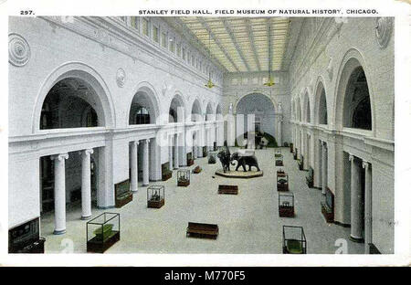 Champ Stanley Hall, Field Museum of Natural History, Chicago (NEN 8210) Banque D'Images