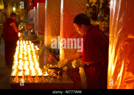 Moines bouddhistes tibétains l'étude de l'Ecriture sainte bouddhiste de Drepung, à Lhassa, Tibet, Chine, Asie Banque D'Images