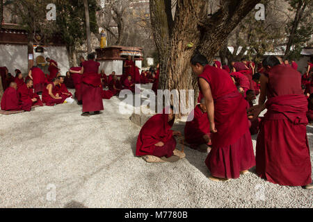 Les moines bouddhistes tibétains débattant de monastère de Séra, Lhassa, Tibet, Chine, Asie Banque D'Images