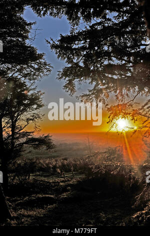 Coucher de soleil sur l'hiver a Beacon Country Park Lancashire England Banque D'Images