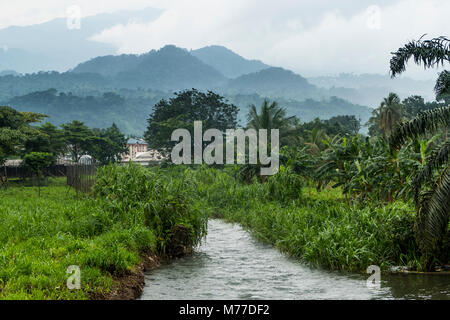 Le Jardin botanique de Limbe, Cameroun, Afrique du Sud Banque D'Images