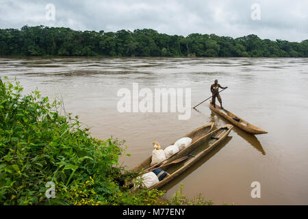 Sangha River, à la frontière de la République centrafricaine, au plus profond de la jungle du Cameroun, l'Afrique Banque D'Images