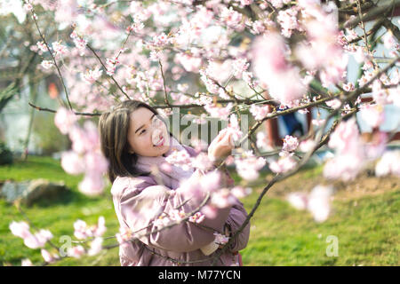 Wuhan, province du Hubei en Chine. Mar 9, 2018. Un touriste se penche sur les cerisiers en fleurs dans la zone panoramique de Donghu à Wuhan, Hubei Province du centre de la Chine, le 9 mars 2018. Credit : Xiong Qi/Xinhua/Alamy Live News Banque D'Images