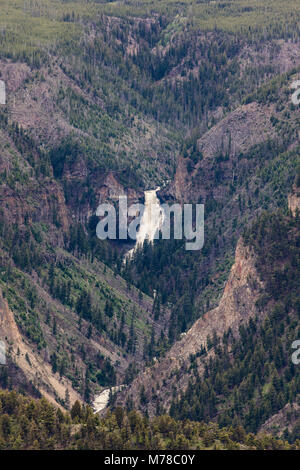 Osprey tombe de Mont Everts. Banque D'Images