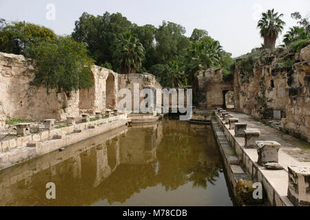 Bains romains anciens à Hamat Gader ou al-Hamma un site de sources chaudes dans la vallée du Yarmouk sur les hauteurs du Golan Israël Banque D'Images