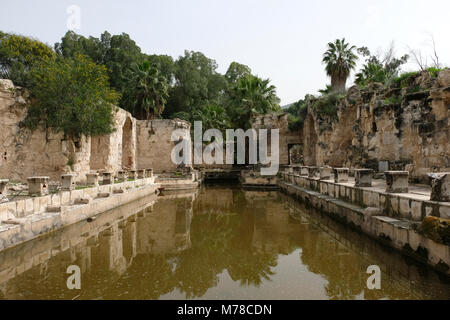 Bains romains anciens à Hamat Gader ou al-Hamma un site de sources chaudes dans la vallée du Yarmouk sur les hauteurs du Golan Israël Banque D'Images