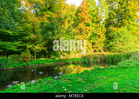 Lacs de pêche à Hmley Hall à Dudley. Banque D'Images