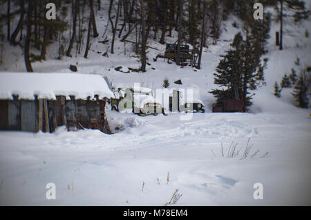 Vieux Willy Jeeps, enterré dans la neige, à côté d'un hangar de travail, dans la ville fantôme de la tour, à l'est de Philipsburg, Montana. Banque D'Images