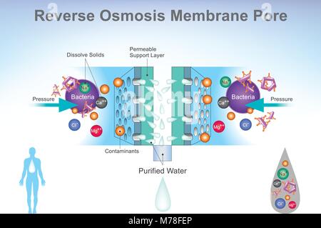 L'osmose inverse (OI) est une technologie de purification de l'eau qui utilise une membrane semi-perméable pour supprimer ions, molécules et particules plus grandes de drinki Illustration de Vecteur