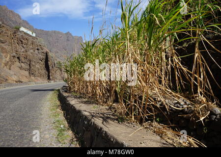 Ribeira Grande, Santo Antao, Cap Vert Banque D'Images