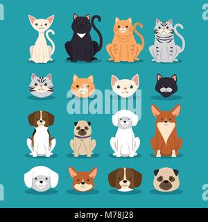 Chiens et chats animaux domestiques personnages vector illustration design Illustration de Vecteur