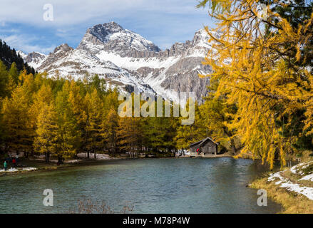 Cabane en bois sur la rive du Lai da (Palpuogna Palpuognasee), Bergun, col d'Albula, Canton des Grisons (Grisons), Suisse, Europe Banque D'Images