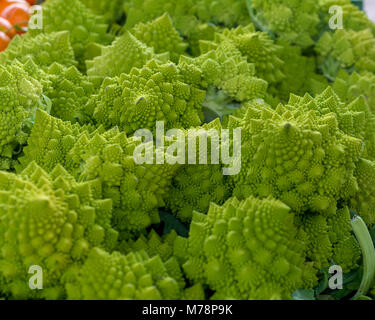 Romanesco Brocoli (Brassica oleracea), close-up shot, selective focus, à vendre à un marché de fermiers, vert clair couleur prédominante, horizontal tourné Banque D'Images