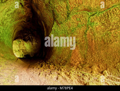 Tunnel volcanique, Caldeira, Parc Naturel de Graciosa, île de Graciosa, Açores, Portugal, Europe, Atlantique Banque D'Images