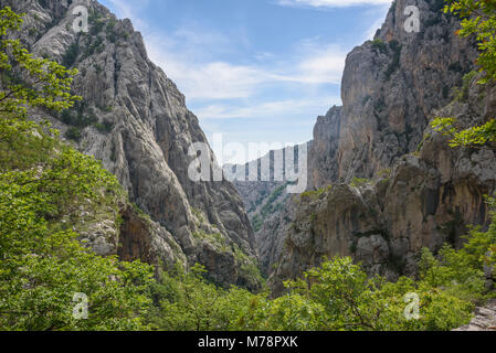 Gorges de calcaire, le parc national de Paklenica, Italy, Europe Banque D'Images