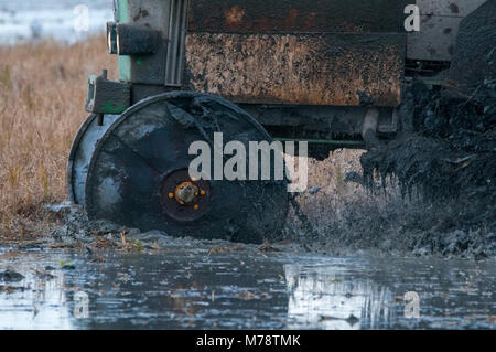 Tracteur pour champ de riz, en hiver, pour les inondations du terrain, la boue d'enterrer les tiges et les vestiges de la culture. Delta de l'Ebre, en Catalogne, Espagne Banque D'Images